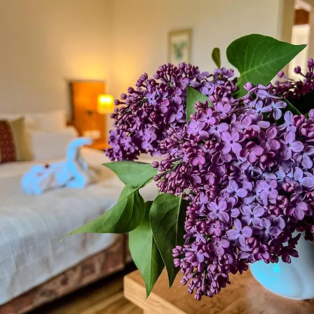 Gaestehaus Inselhof 招待所