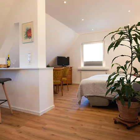 Gaestehaus Inselhof 招待所 4*