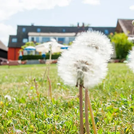 招待所 Gaestehaus Inselhof