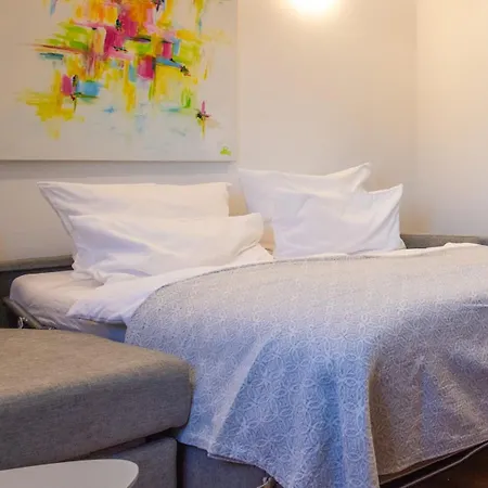 Gaestehaus Inselhof 4* 赖歇瑙